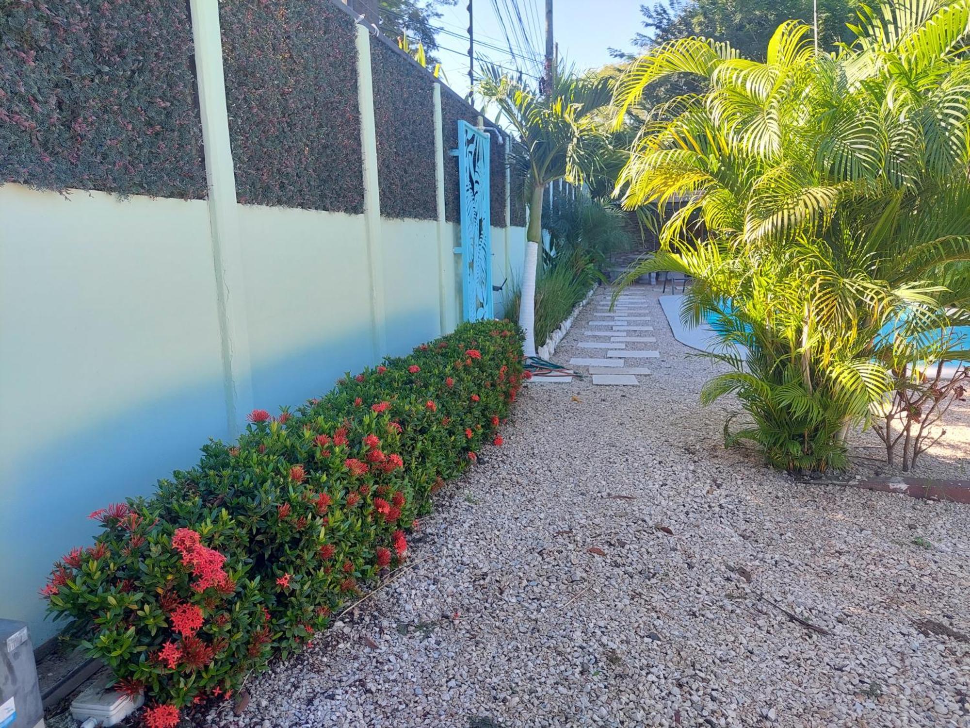 Hotel Carlota Tamarindo Exteriér fotografie
